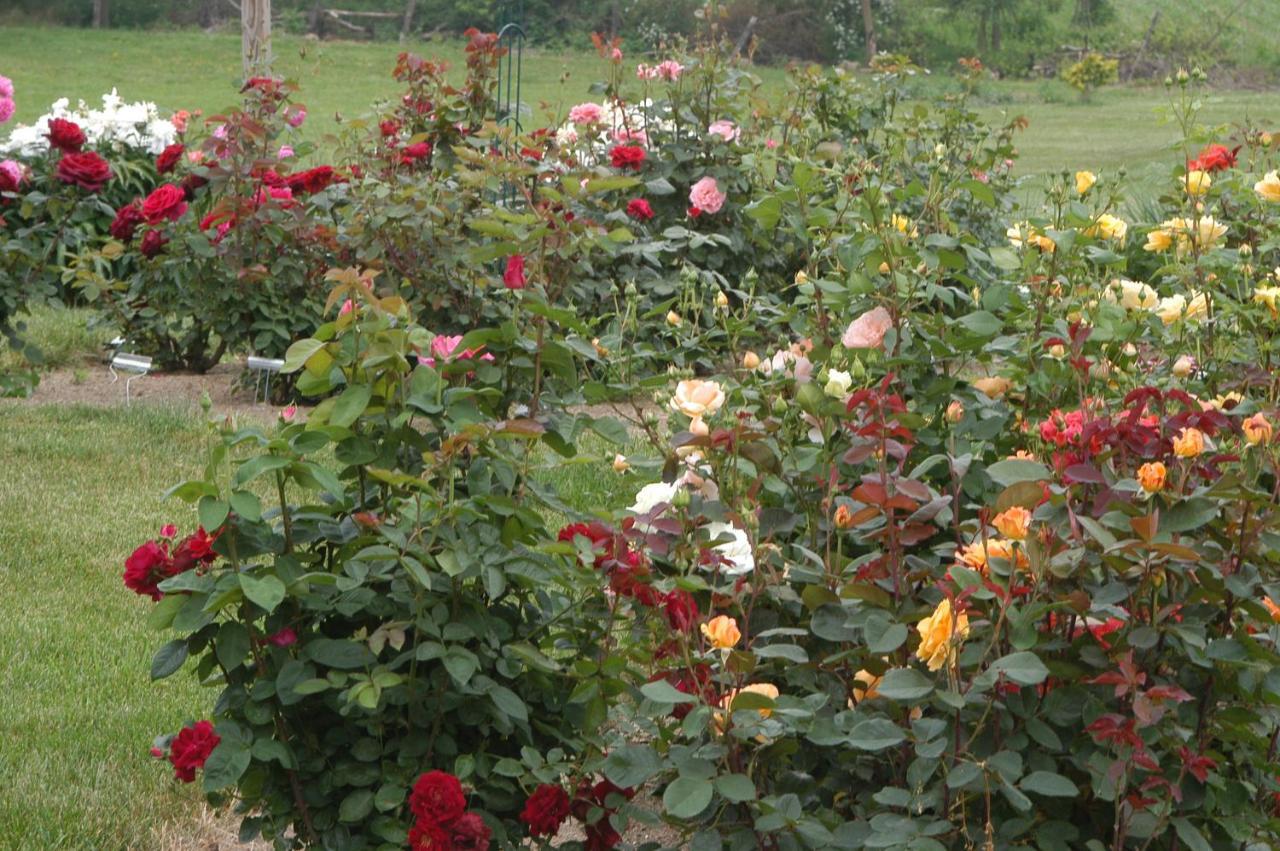 Annville Inn Bed & Breakfast Bed & Breakfast